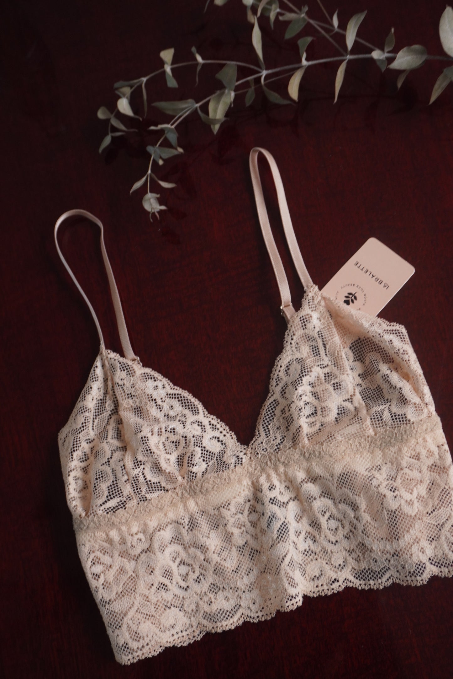 Creamy Dreamy Bralette