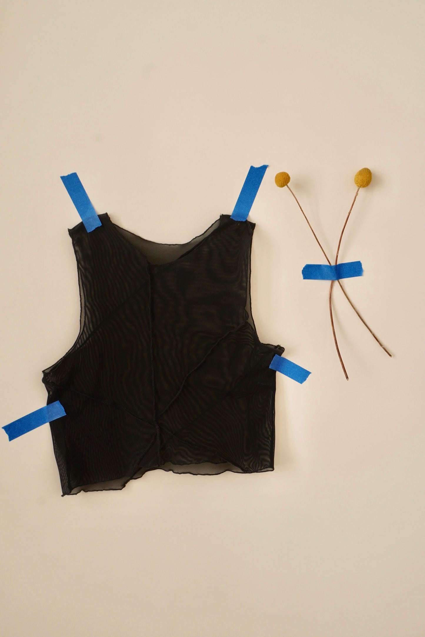 Grieta Mesh Crop Top