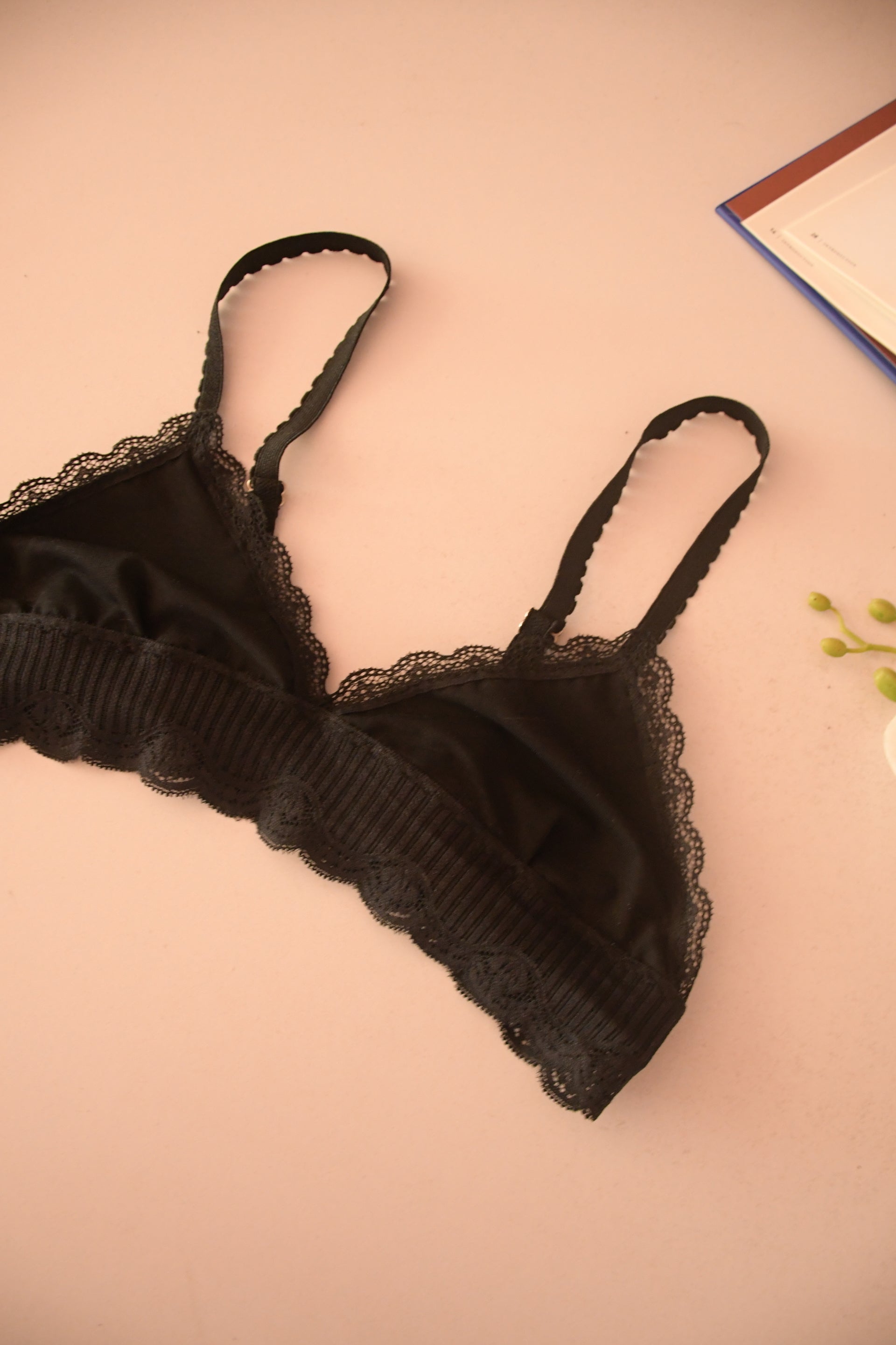 Venus Bralette – La Bralette - Main Image