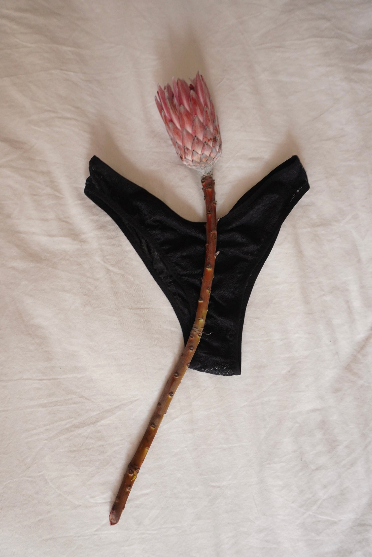 Penélope Panty V
