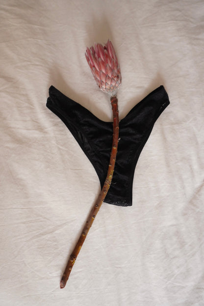 Penélope Panty V