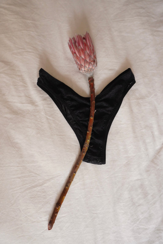Penélope Panty V